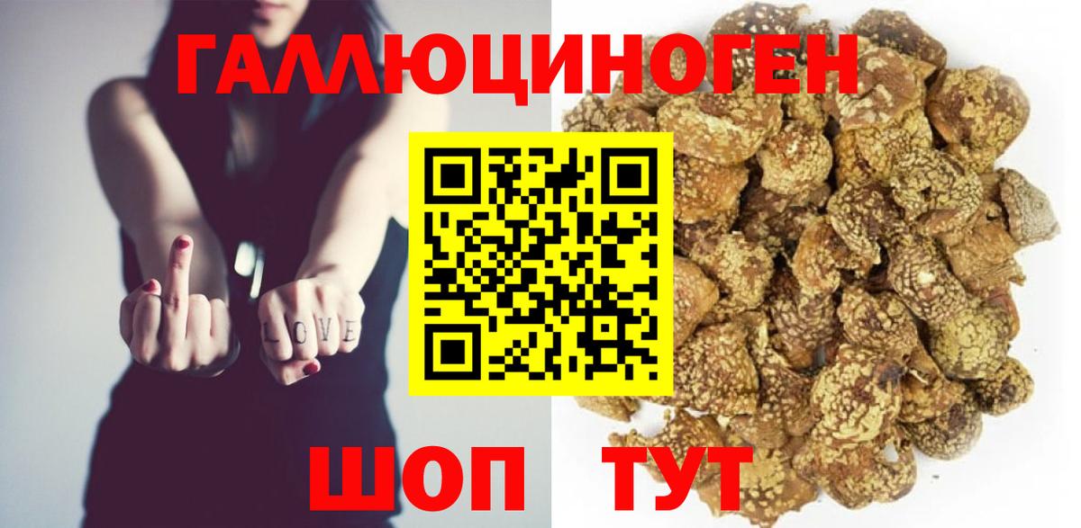купить  сайты  Псилоцибиновые грибы прущие грибы  Вход с VPN  Новодвинск 