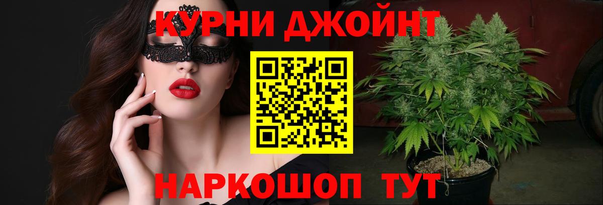 Конопля конопля  Конопля план  Вход с VPN  Новодвинск  Марихуана конопля 